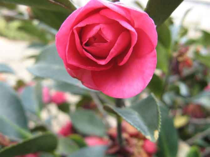 �Է�����1�������������